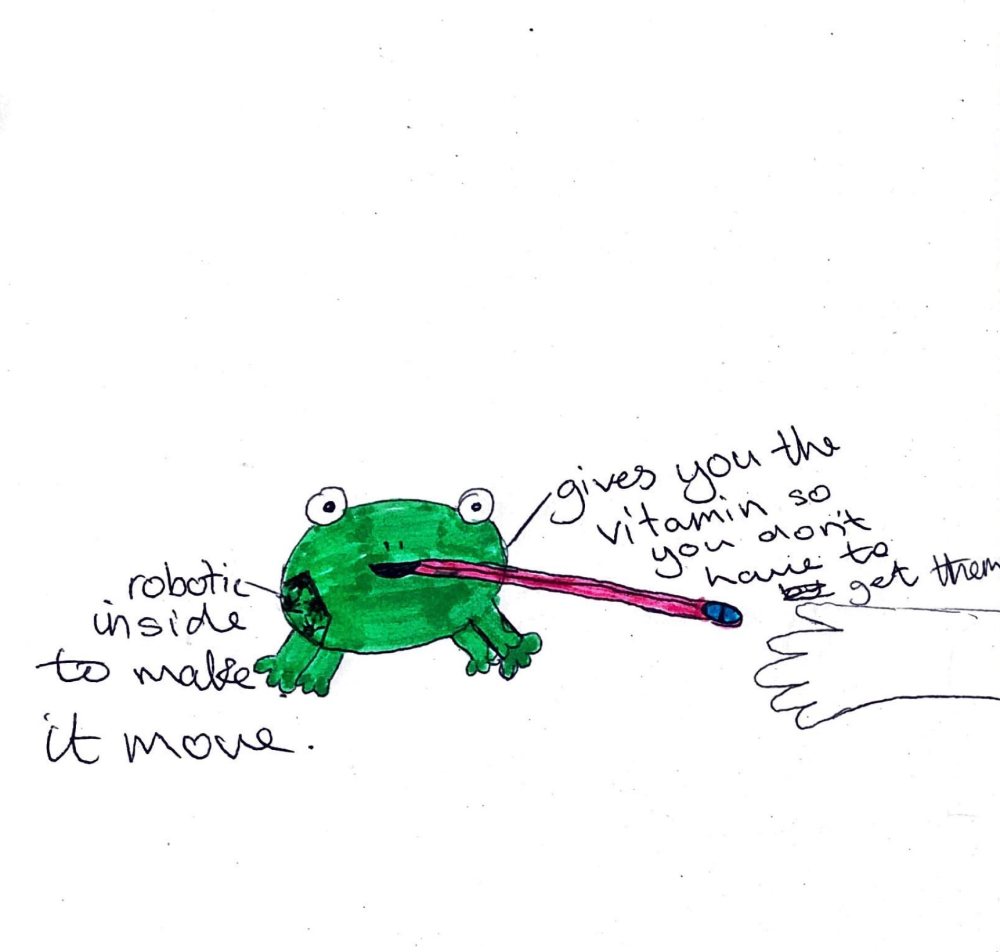 the-vitamin-frog-little-inventors